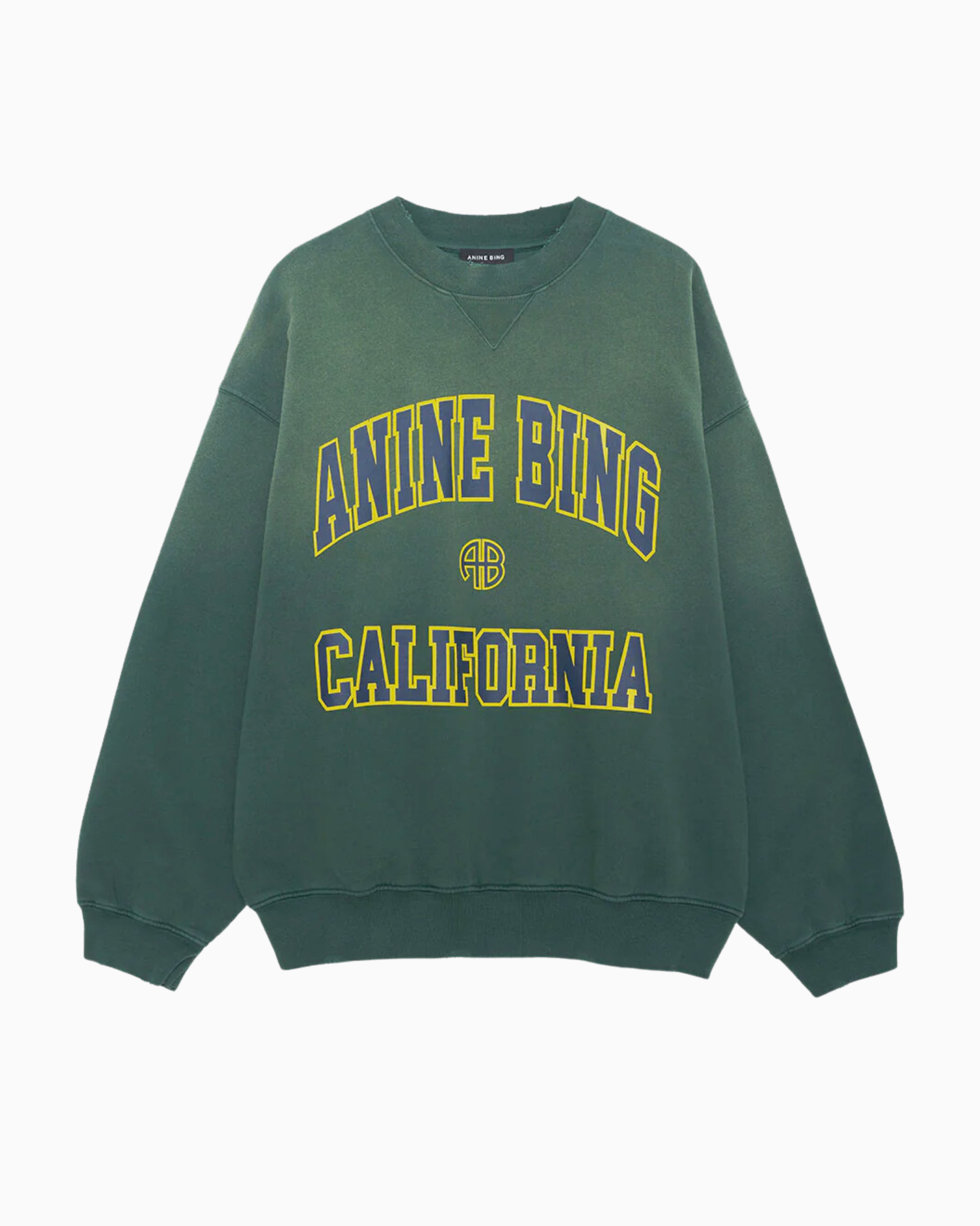 Anine Bing Jaci Sweatshirt in California Washed Faded Green