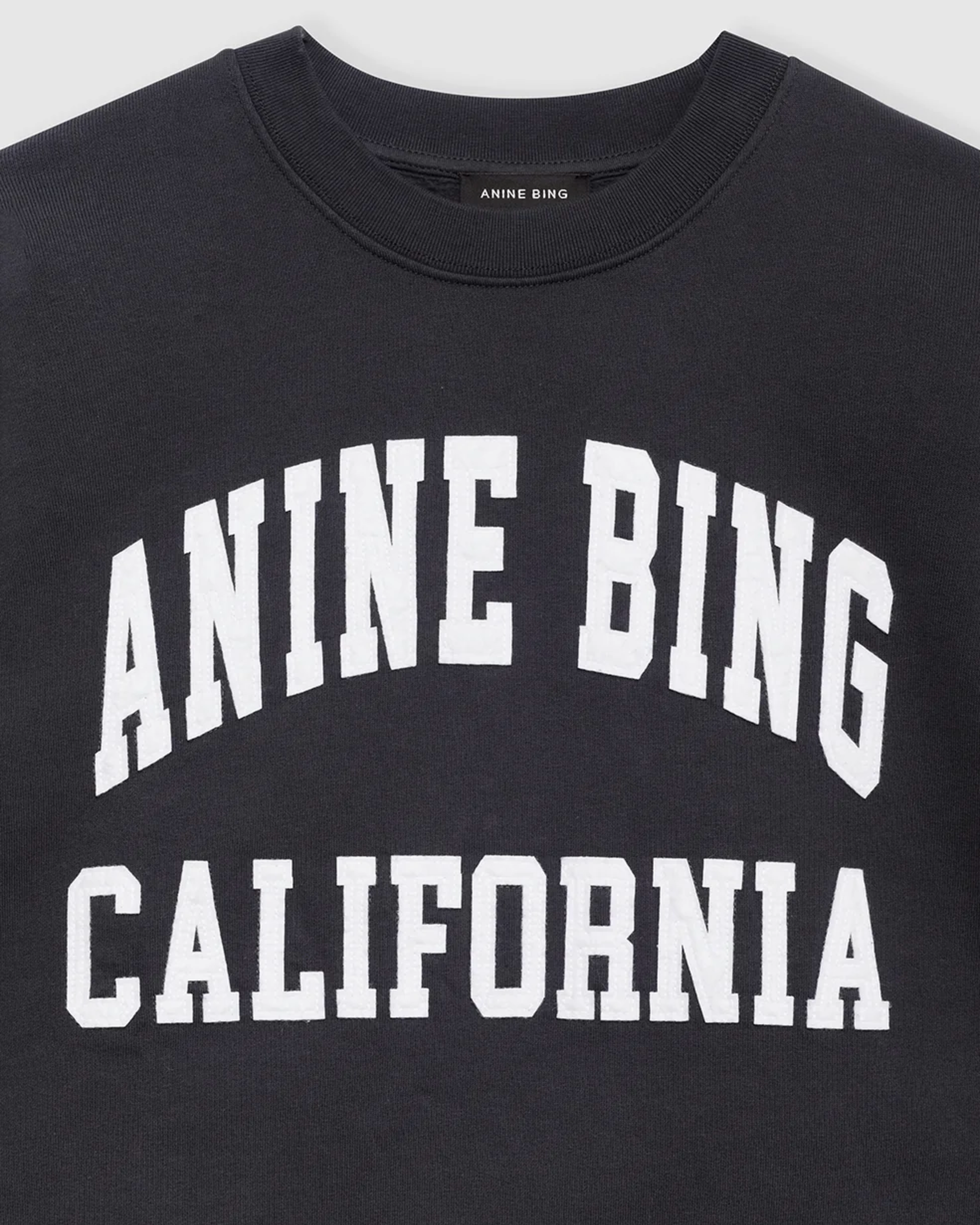 Anine Bing Miles Sweatshirt in Vintage Black