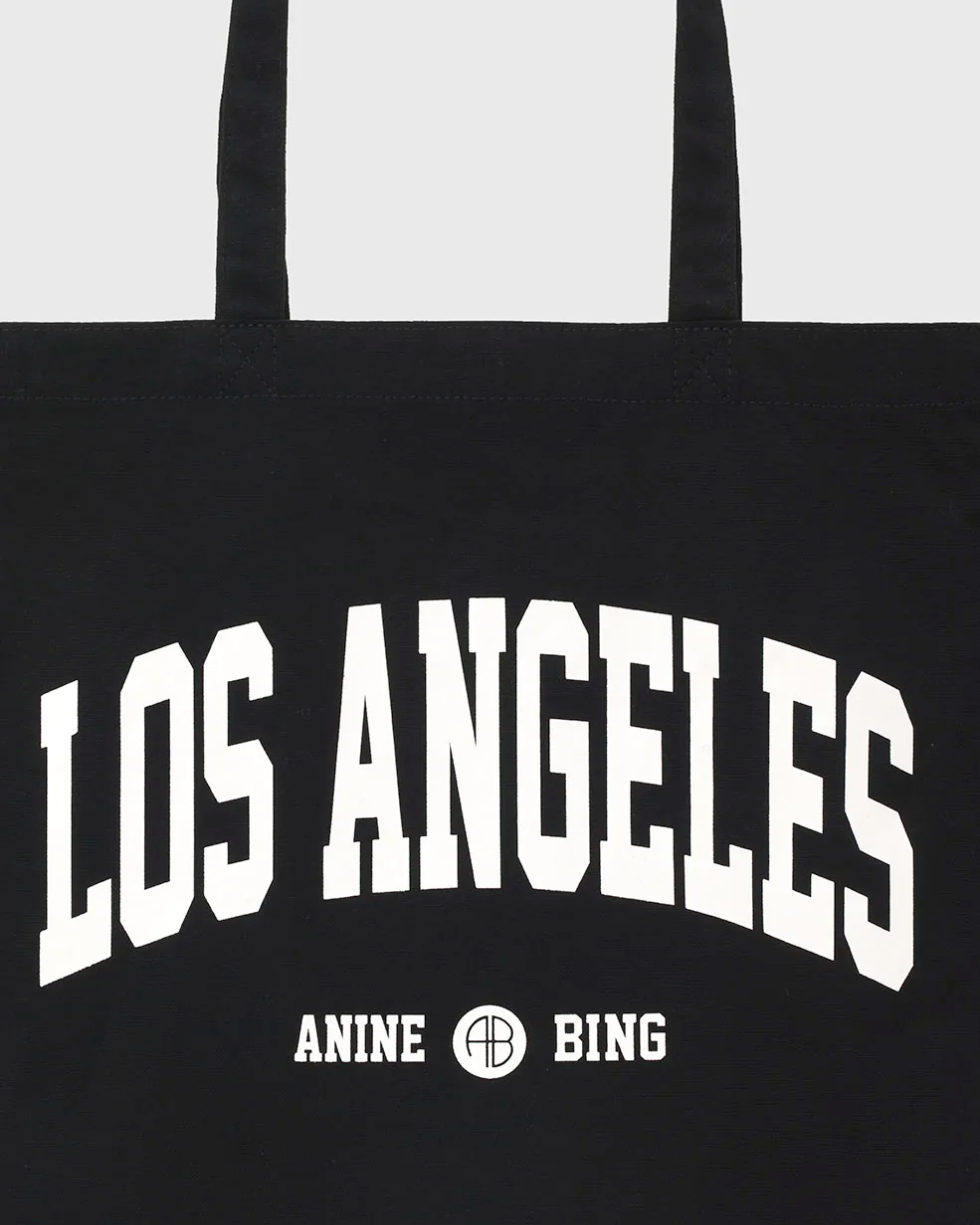 Anine Bing Remy Canvas Tote in Black