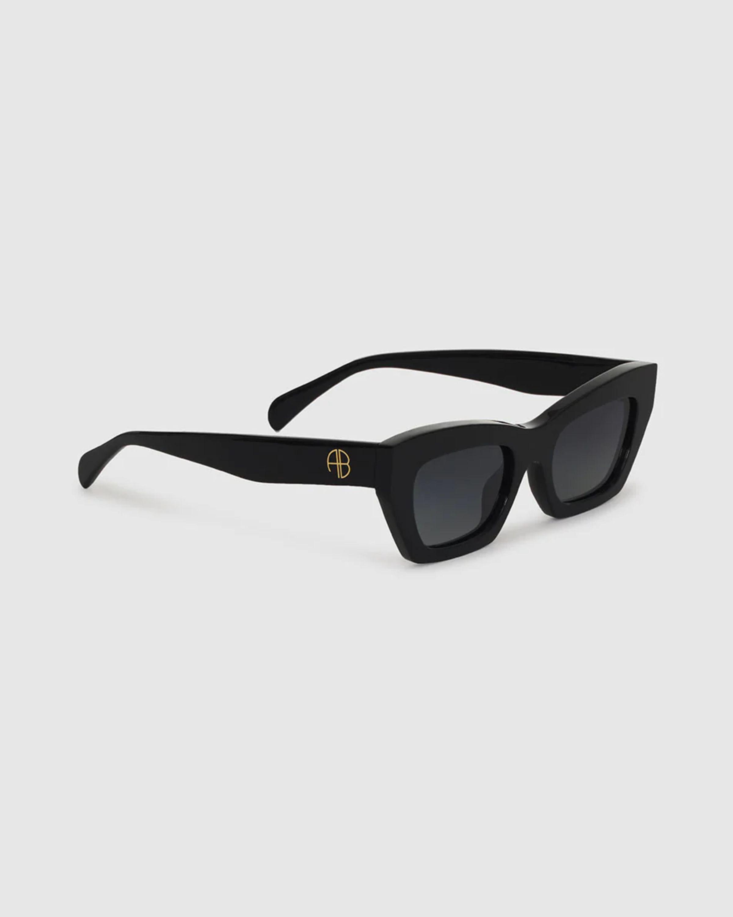 Anine Bing Sonoma Sunglasses in Black