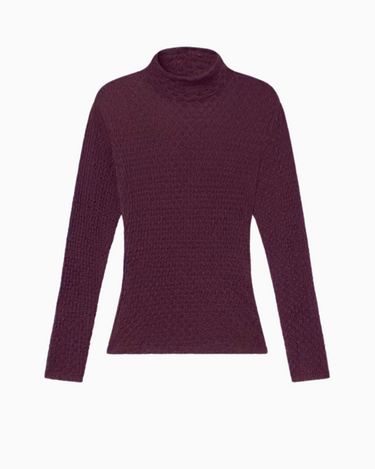 FRAME Mesh Lace Turtleneck in Deep Burgundy